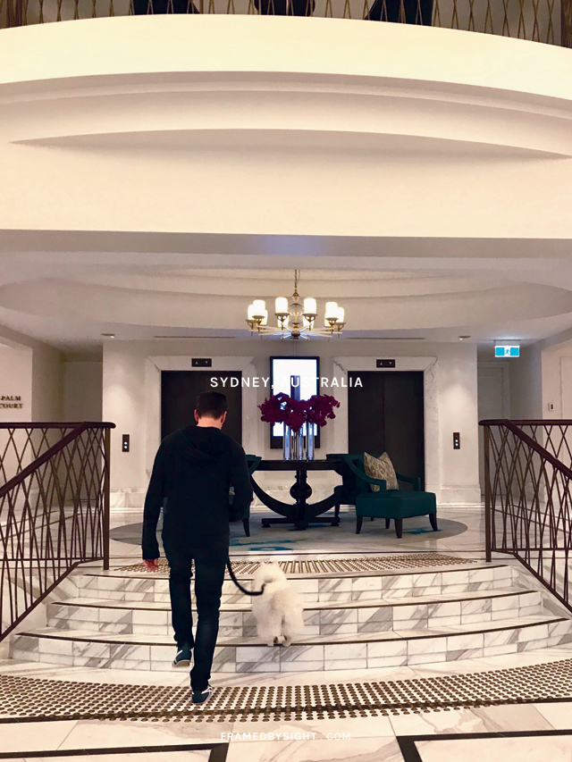 Exploring the World with Fido: The Top Dog-Friendly Hotels You'll Love - 1. The Langham, Sydney