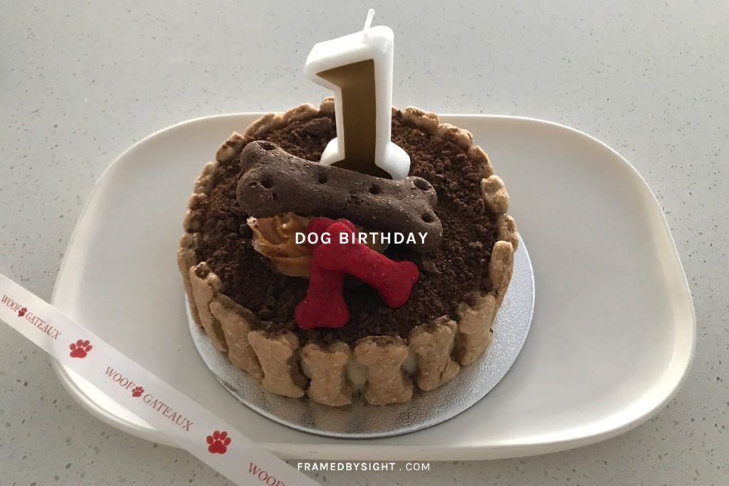 Dog birthday best sale cake delivery