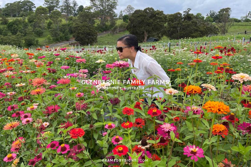 Family farms on sale near me